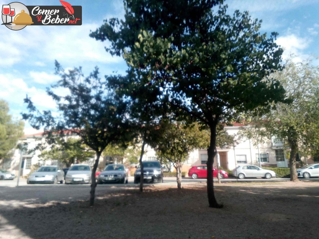 parquecillo aguas nuevas