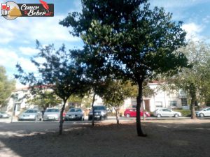 parquecillo aguas nuevas