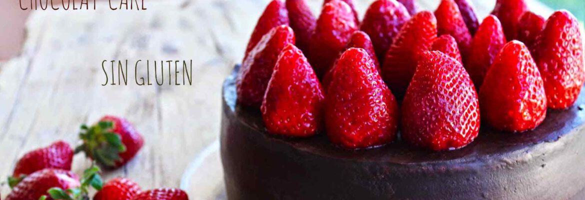 bizcocho sin gluten de chocolate