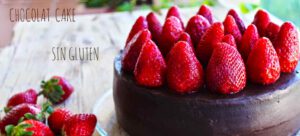 bizcocho sin gluten de chocolate