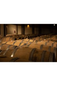 curiosidades del vino
