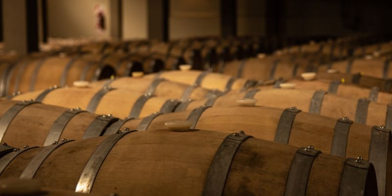 curiosidades del vino